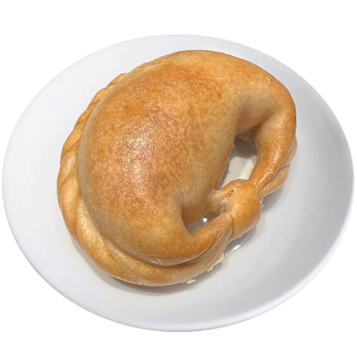 EMPANADA ARGENTINA CHICKEN